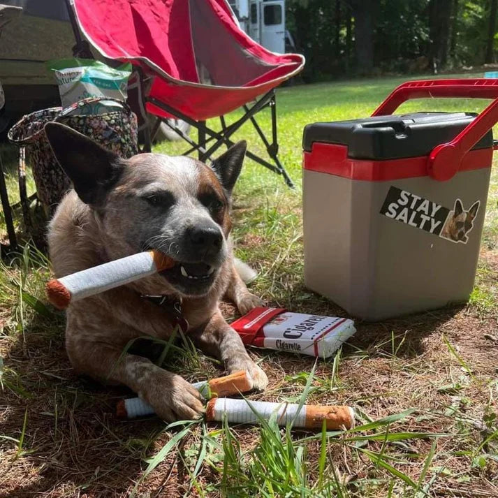 Velvet Chew Buddy for Dogs