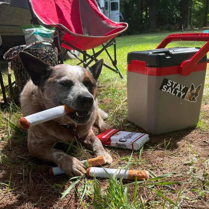 Velvet Chew Buddy for Dogs