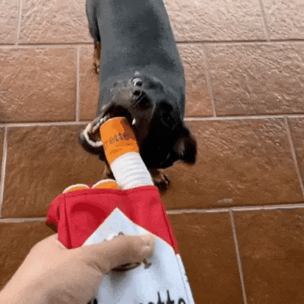 Velvet Chew Buddy for Dogs
