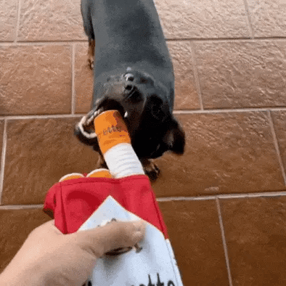 Velvet Chew Buddy for Dogs